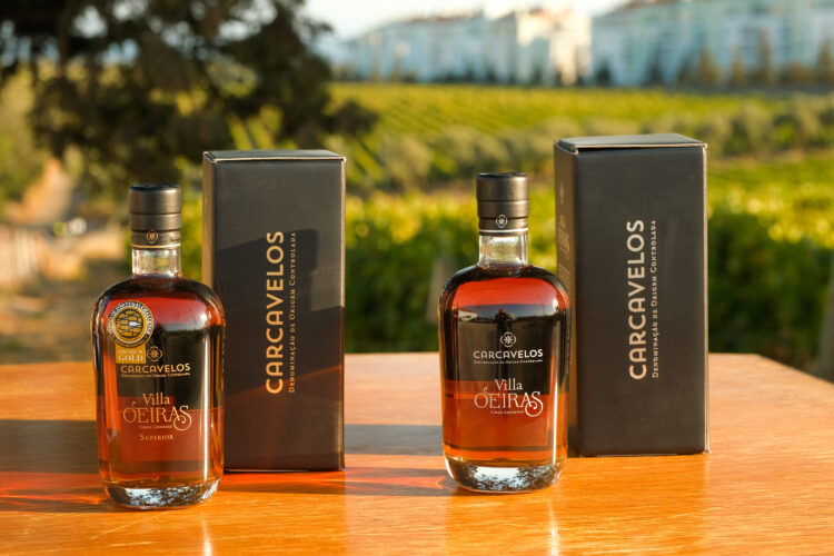 Villa Oeiras: a história do vinho que quase desapareceu e que Oeiras salvou
