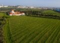 Villa Oeiras: a história do vinho que quase desapareceu e que Oeiras salvou