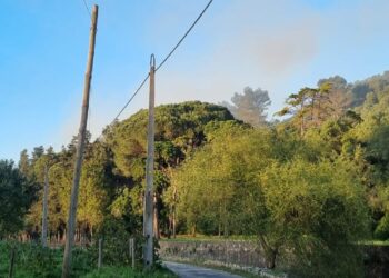 Incêndio em edifício devoluto na Estação Agronómica Nacional provoca nuvem de fumo visível em Oeiras