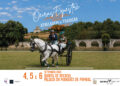 Oeiras Equestre regressa em setembro com três dias dedicados ao mundo dos cavalos
